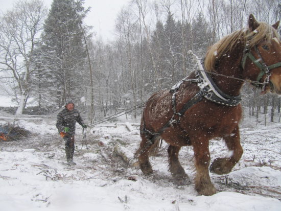 Dave and Tantan working in the snow.