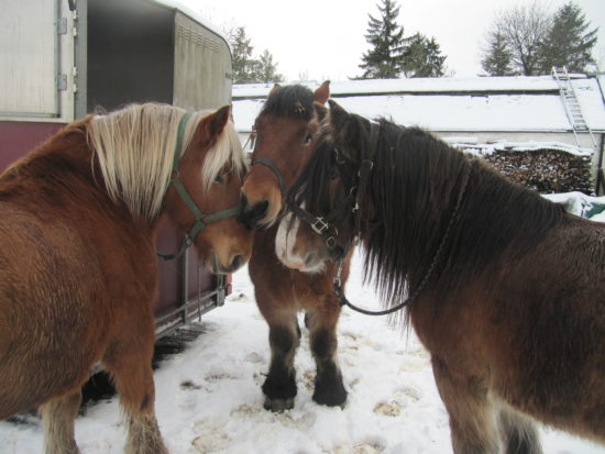 Tantan, Stig and Tyne