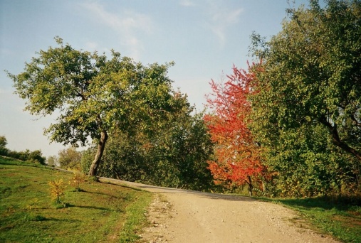 apple island