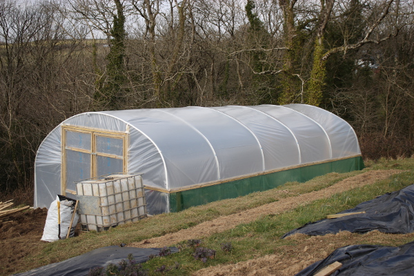 Putting up a polytunnel: fresh fruit & veg all year round