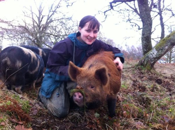 How the study of animal behaviour (ethology) can help you keep livestock more ethically and sustainably