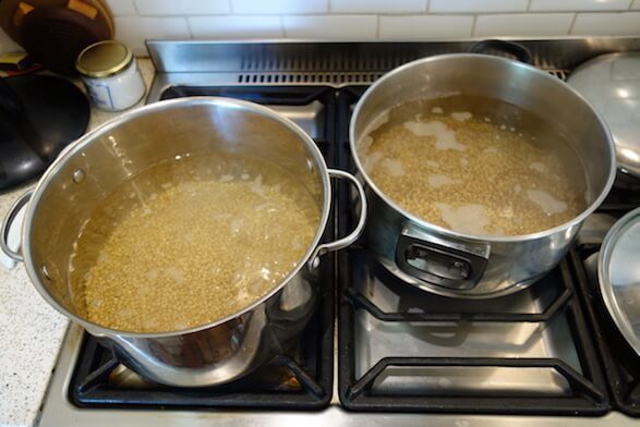 Two pots of grain boiling on a hob