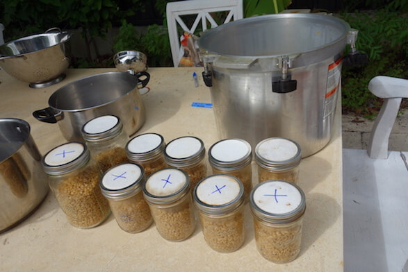 Preparing mushroom spawn in jars