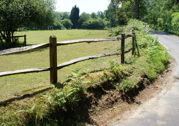  Fences representative image