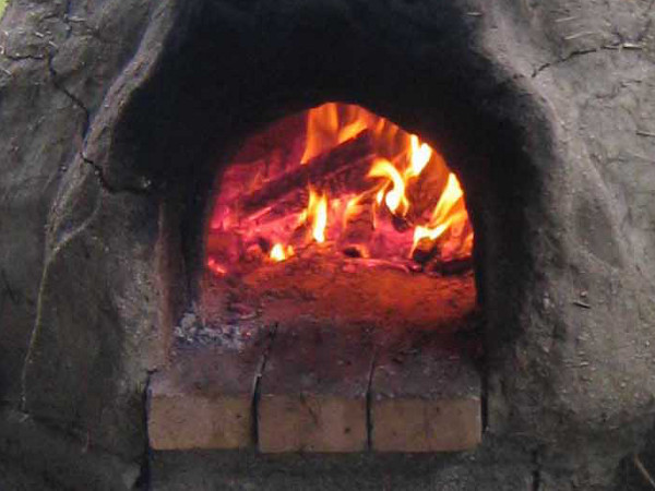  Earth ovens representative image