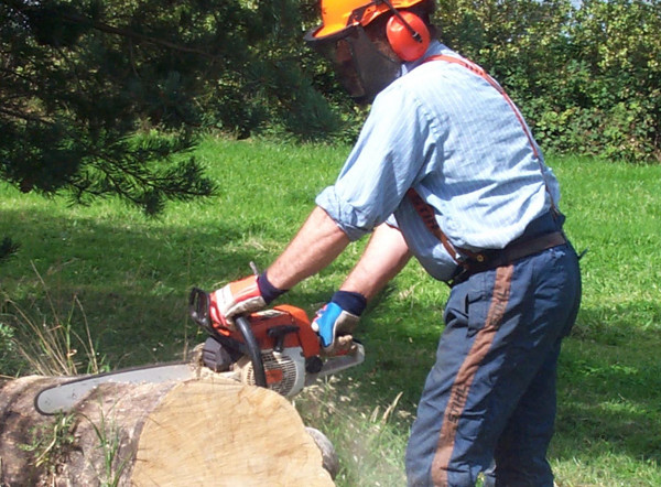  Chainsaws representative image