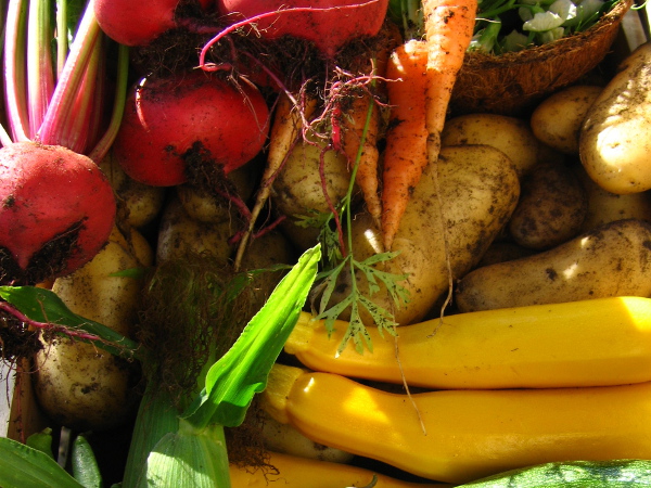 Vegetable growing