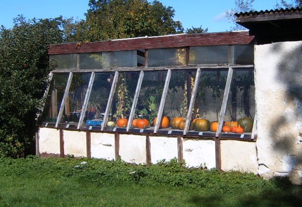  Greenhouses & polytunnels representative image