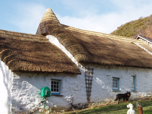  Thatching representative image