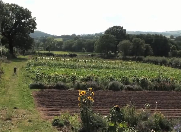 Campaign to develop the Community-Supported Agriculture (CSA) Network in the UK