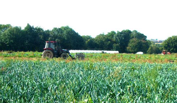 Ecological Land Co-op successful in their application for homes on eco-smallholdings in Devon