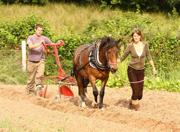 Introducing the Land Workers’ Alliance – representing small-scale producers