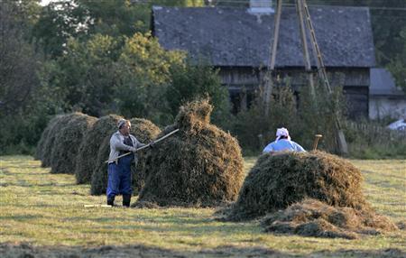 Polish family farms criminalised for local food sales