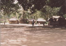 thatched huts in Mvuti ujamaa village in Tanzania