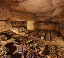 mushroom cultivation in a cave, Paris