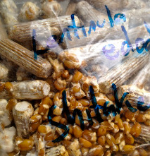 shiitake mushroom spawn delivered on dowels and grain