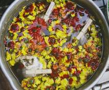 dyeing with coreopsis