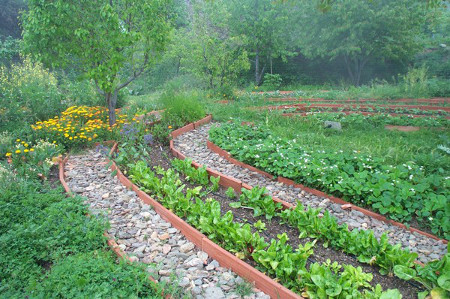 permaculture growing