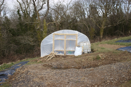 polytunnel front