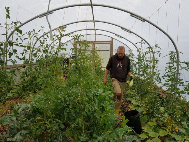 Growing food on the OPD smallholding in Wales