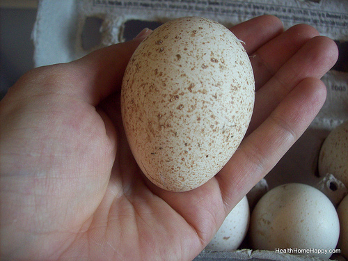 A turkey egg (pic: HealthHomeHappy.com, creative commons)