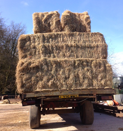 straw bales on lorry