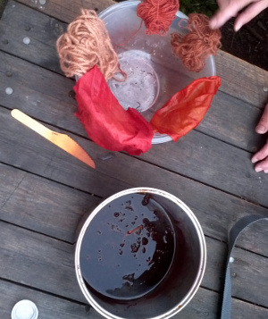 The red bits of cloth and yarn sitting on the bowl were dyed with madder, the root of a native British plant, up at the Cordwainers Garden in Hackney.