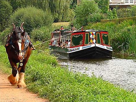 Horse pulling a narrowboat on a British canal.