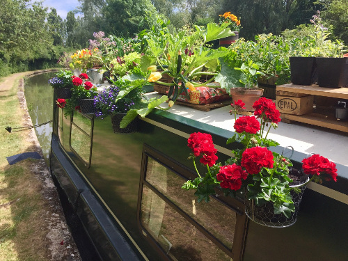 picture of a narrowboat with roof garden