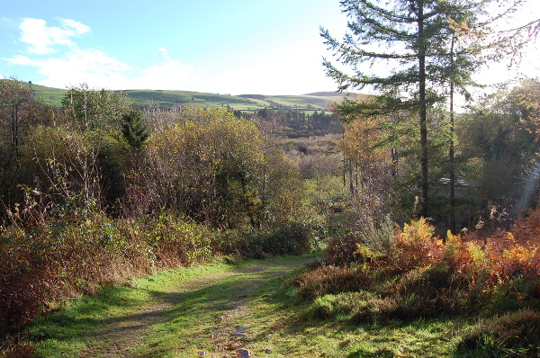 Interested in rural cohousing? Introducing the Agroecological Land Initiative