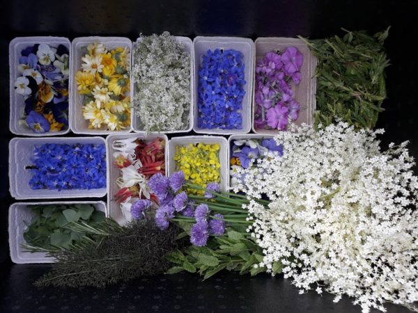 Edible flowers produced by young farmers Adam and Sinead at Aweside Farm