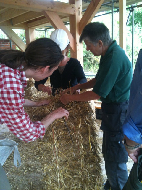 Expert Barbara Jones teaching on a straw-bale building course