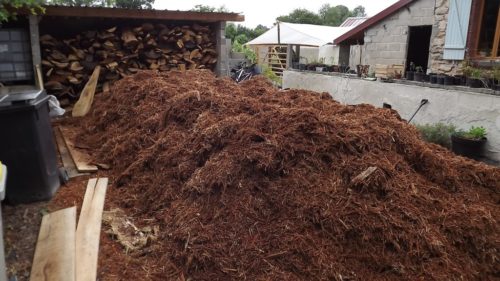 Oak bark chips from a local saw mill