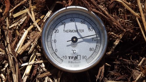 The compost is heating up