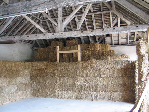 Help Brighton Permaculture Trust build a straw-bale ‘fruit factory’