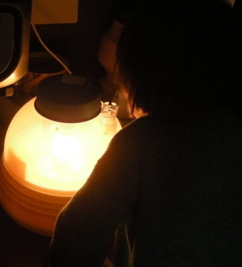 Eggs in an incubator observed by a small child. This 6-egg incubator was bought second hand on ebay and used to hatch eggs at home.