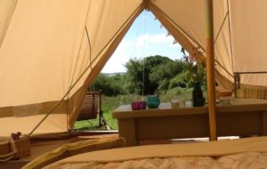 Cuckoo Farm Glamping