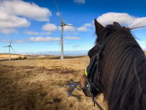 A community wind farm in Wales