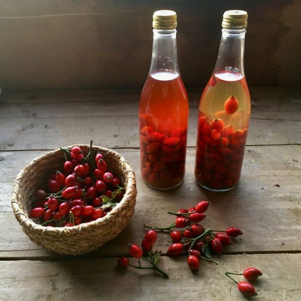 Rosehip vinegar