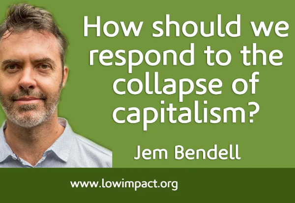 Conversation with Jem Bendell, part 2: how should we respond to the collapse of capitalism?