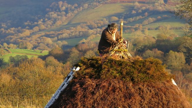 Out of Eden: how you can get involved in a neolithic farm experiment in Wales