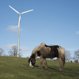 A wind turbine and retired working horse at Gazegill Farm