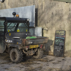 Organic lamb for sale at Gazegill Farm