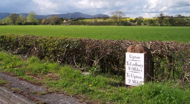 Why farm hedge trimming needs to change