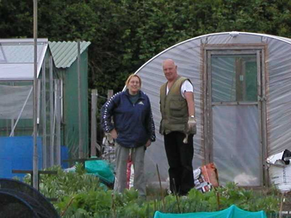 What to sow, plant and harvest in your polytunnel or greenhouse in March