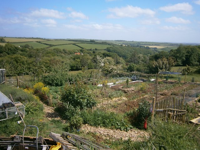 A view of the Pentiddy Woods smallholding