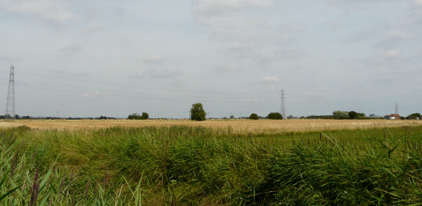 Local Lincolnshire landscape by Andy Reynolds