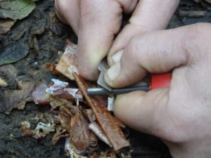 Demonstrating the use of firesteels to create a spark