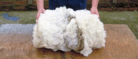 The Wool Journey Part 6: grading, sorting and storing of fleeces following shearing