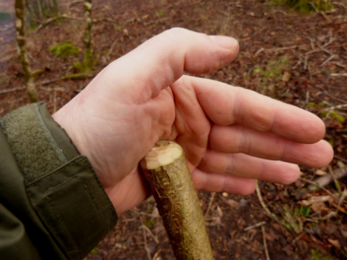 Rounded walking staff in hand